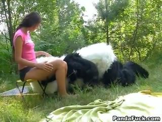 Мръсен видео в на гори с а огромен играчка panda